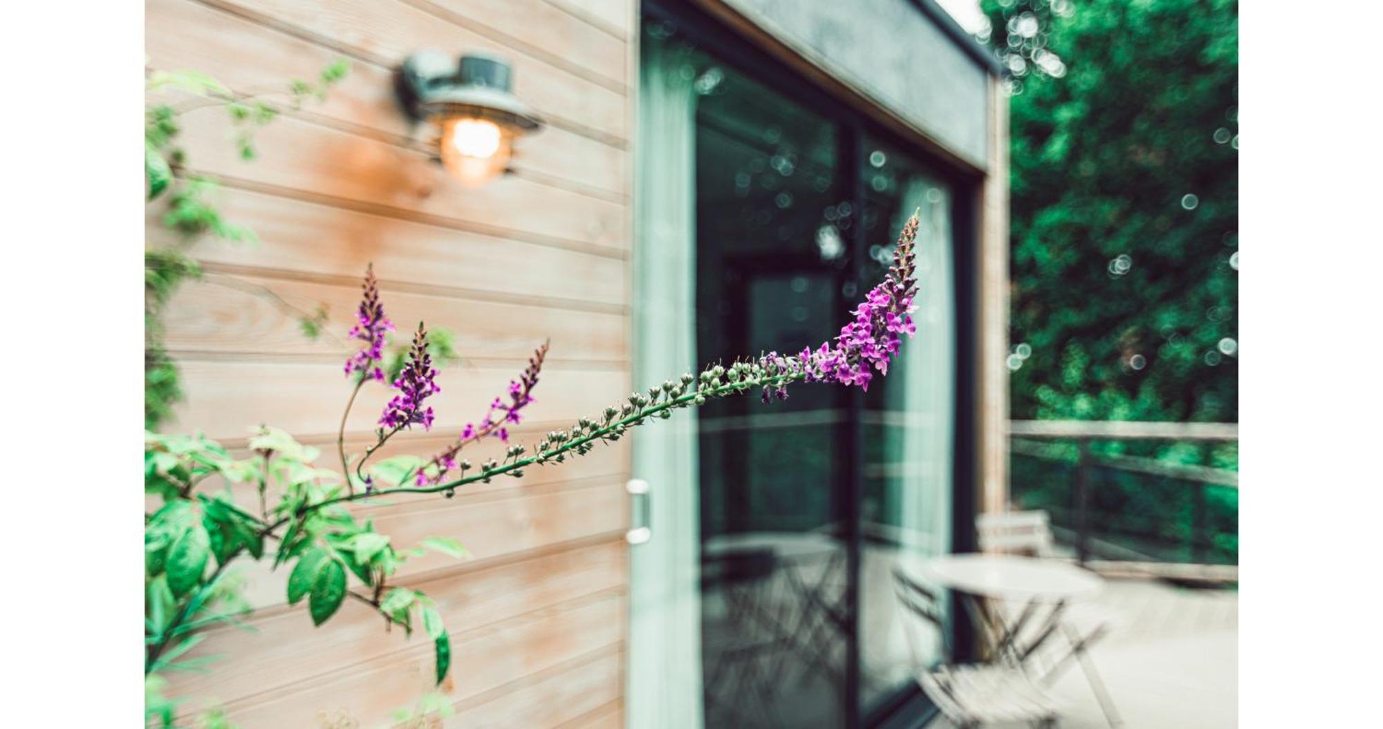 Clophill Eco Lodges Bagian luar foto